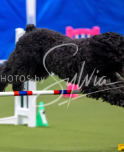 2025-June-Trial-1672