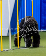 2025-June-Trial-1673