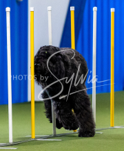 2025-June-Trial-1677