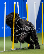 2025-June-Trial-1680