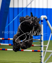 2025-June-Trial-1683