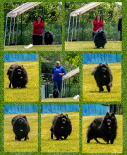 Collage-1_InPixio_InPixio