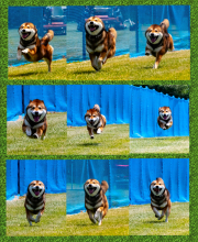 Collage-Smiley1_InPixio