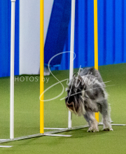 25-1-19-Sun-KathySeminar-106