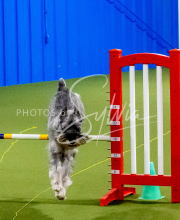 25-1-19-Sun-KathySeminar-119