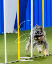 25-1-19-Sun-KathySeminar-121