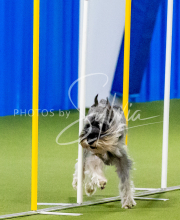 25-1-19-Sun-KathySeminar-124