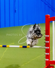 25-1-19-Sun-KathySeminar-133