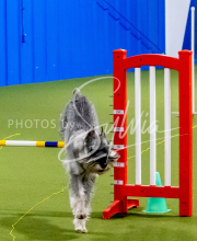 25-1-19-Sun-KathySeminar-135