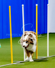 25-1-19-Sun-KathySeminar-152