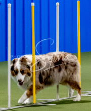 25-1-19-Sun-KathySeminar-159