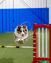 25-1-19-Sun-KathySeminar-162