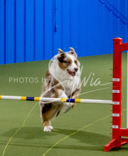 25-1-19-Sun-KathySeminar-170