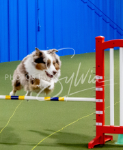 25-1-19-Sun-KathySeminar-177