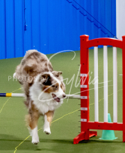 25-1-19-Sun-KathySeminar-179