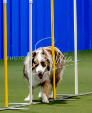 25-1-19-Sun-KathySeminar-191