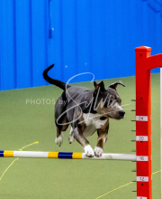 25-1-19-Sun-KathySeminar-198