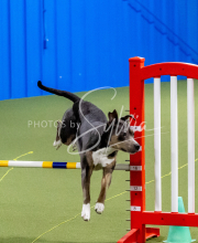 25-1-19-Sun-KathySeminar-199