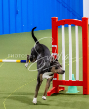 25-1-19-Sun-KathySeminar-200