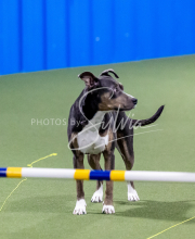 25-1-19-Sun-KathySeminar-201