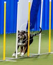 25-1-19-Sun-KathySeminar-209