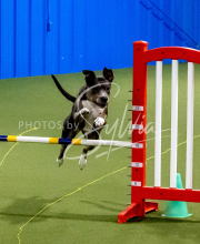 25-1-19-Sun-KathySeminar-219