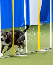 25-1-19-Sun-KathySeminar-226