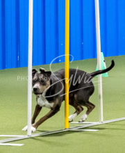 25-1-19-Sun-KathySeminar-232