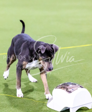 25-1-19-Sun-KathySeminar-236