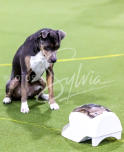 25-1-19-Sun-KathySeminar-240