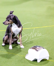 25-1-19-Sun-KathySeminar-244