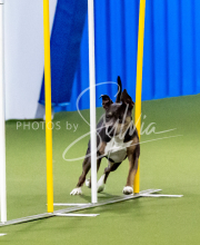 25-1-19-Sun-KathySeminar-249