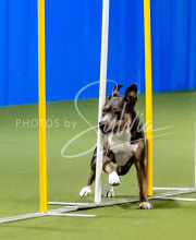 25-1-19-Sun-KathySeminar-256