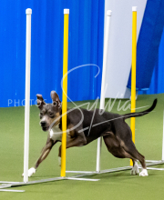 25-1-19-Sun-KathySeminar-271