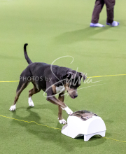 25-1-19-Sun-KathySeminar-281