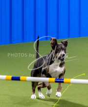 25-1-19-Sun-KathySeminar-283