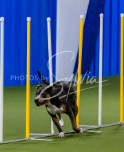 25-1-19-Sun-KathySeminar-289