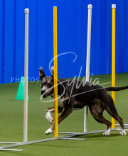 25-1-19-Sun-KathySeminar-293