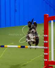 25-1-19-Sun-KathySeminar-295