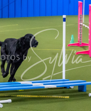 25-1-19-Sun-KathySeminar-298