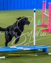 25-1-19-Sun-KathySeminar-299