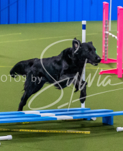 25-1-19-Sun-KathySeminar-300