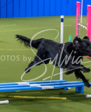 25-1-19-Sun-KathySeminar-301