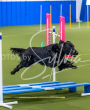 25-1-19-Sun-KathySeminar-304