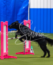 25-1-19-Sun-KathySeminar-307