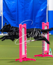 25-1-19-Sun-KathySeminar-309