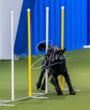 25-1-19-Sun-KathySeminar-312