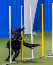 25-1-19-Sun-KathySeminar-319