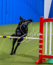 25-1-19-Sun-KathySeminar-323