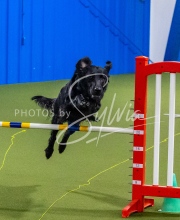 25-1-19-Sun-KathySeminar-324